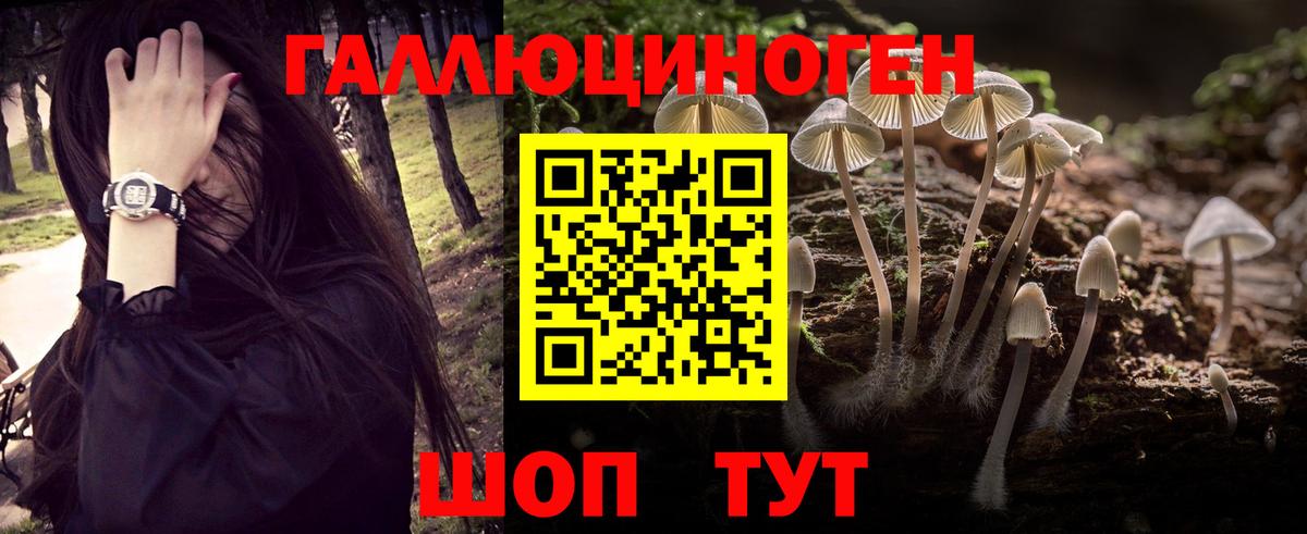 Чайковский  хочу наркоту  Вход с VPN  Галлюциногенные грибы GOLDEN TEACHER 